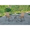 Living Accents Black Steel Frame Sling Chair Tan FTS50BG-T - alternate 2